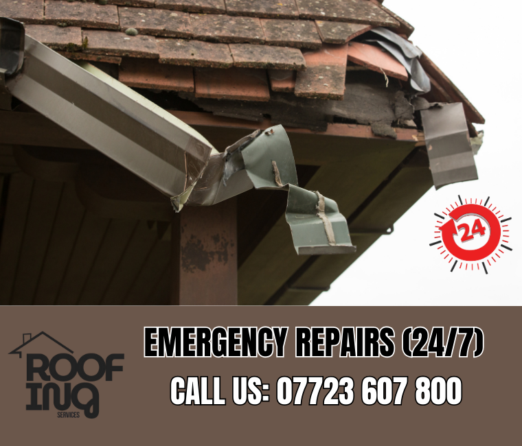 Emergency Roof Repairs in Teignmouth