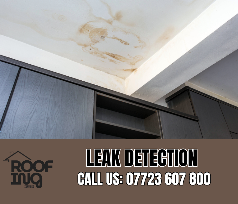 Roof leak detection and repair in Teignmouth