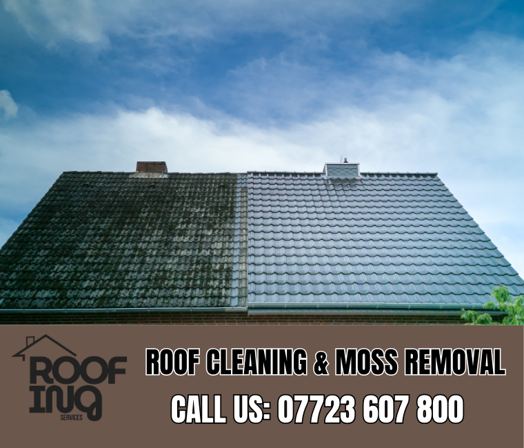 Roof cleaning and moss removal in Teignmouth